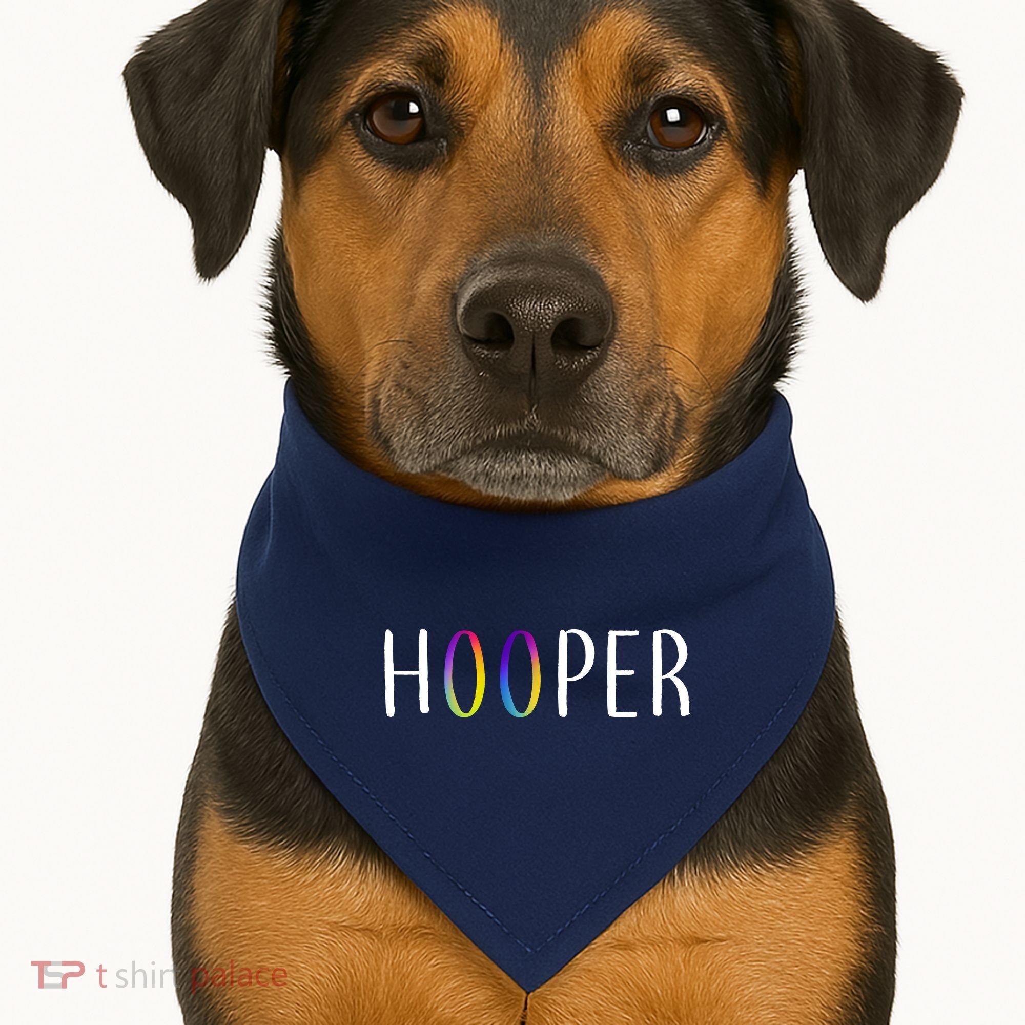 Hooper Hula Hoops USA-Made Doggie Bandana