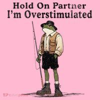 Hold On Partner IM Overstimulated Funny Frog Fishing Humor T-Shirt thumb 7