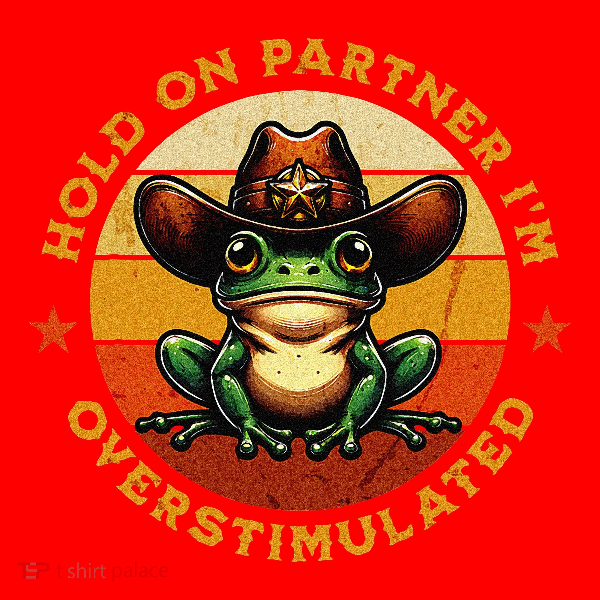 Hold On Partner IM Overstimulated Western Froggy Sheriff Santa Hat