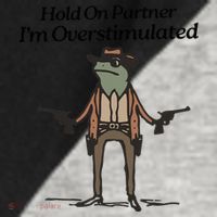 Hold On Partner IM Overstimulated Cowboy Funny Frog Western Raglan Baseball Sleeve Shirt thumb 2