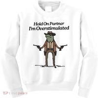 Hold On Partner IM Overstimulated Cowboy Funny Frog Western Kids Sweatshirt thumb 0