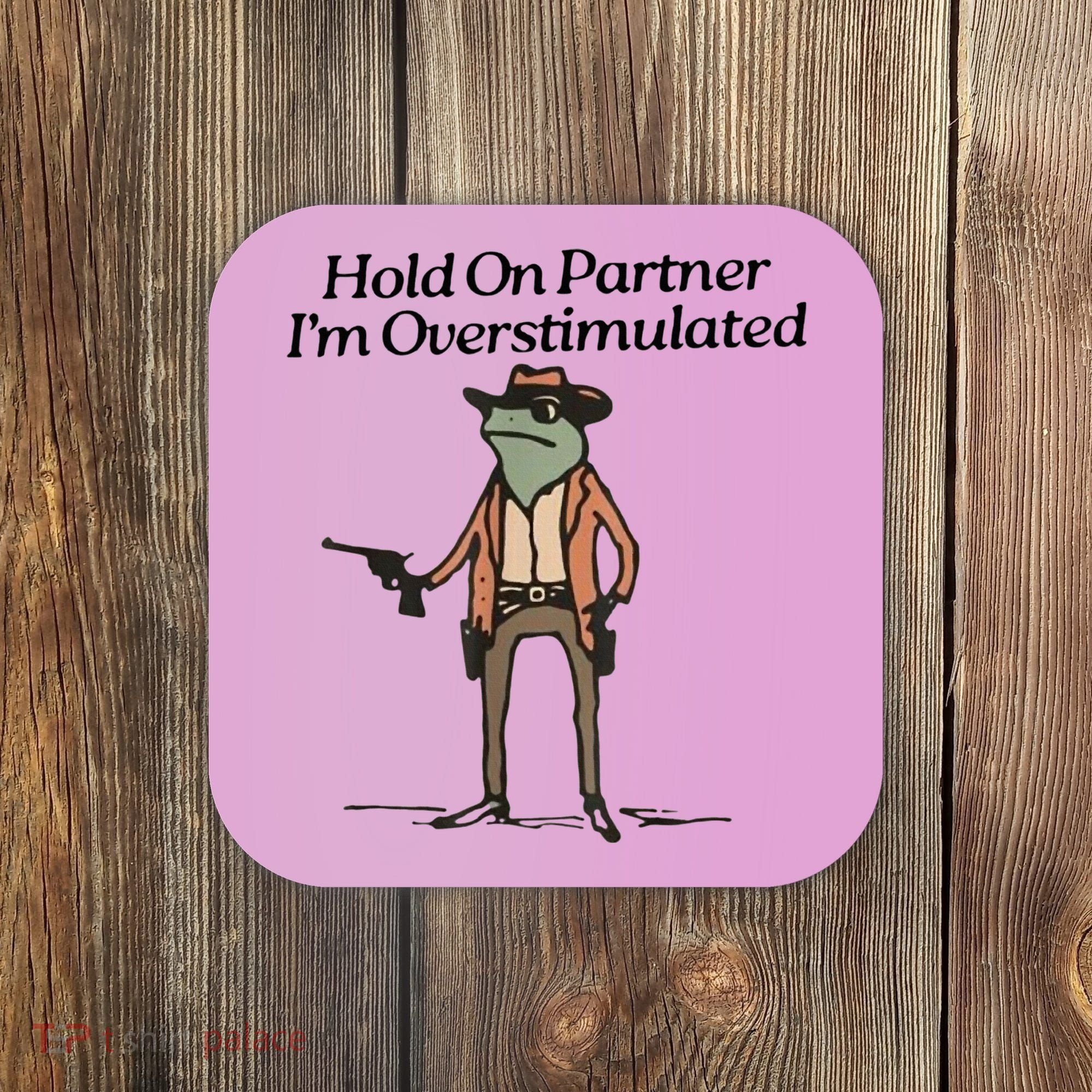 Hold On Partner IM Overstimulated Cowboy Frog Coaster