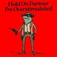 Hold On Partner IM Overstimulated Cowboy Frog Santa Hat thumb 1