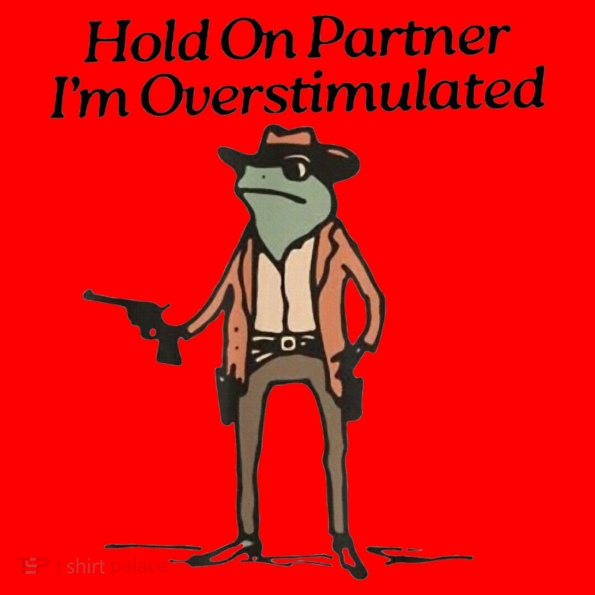 Hold On Partner IM Overstimulated Cowboy Frog Santa Hat