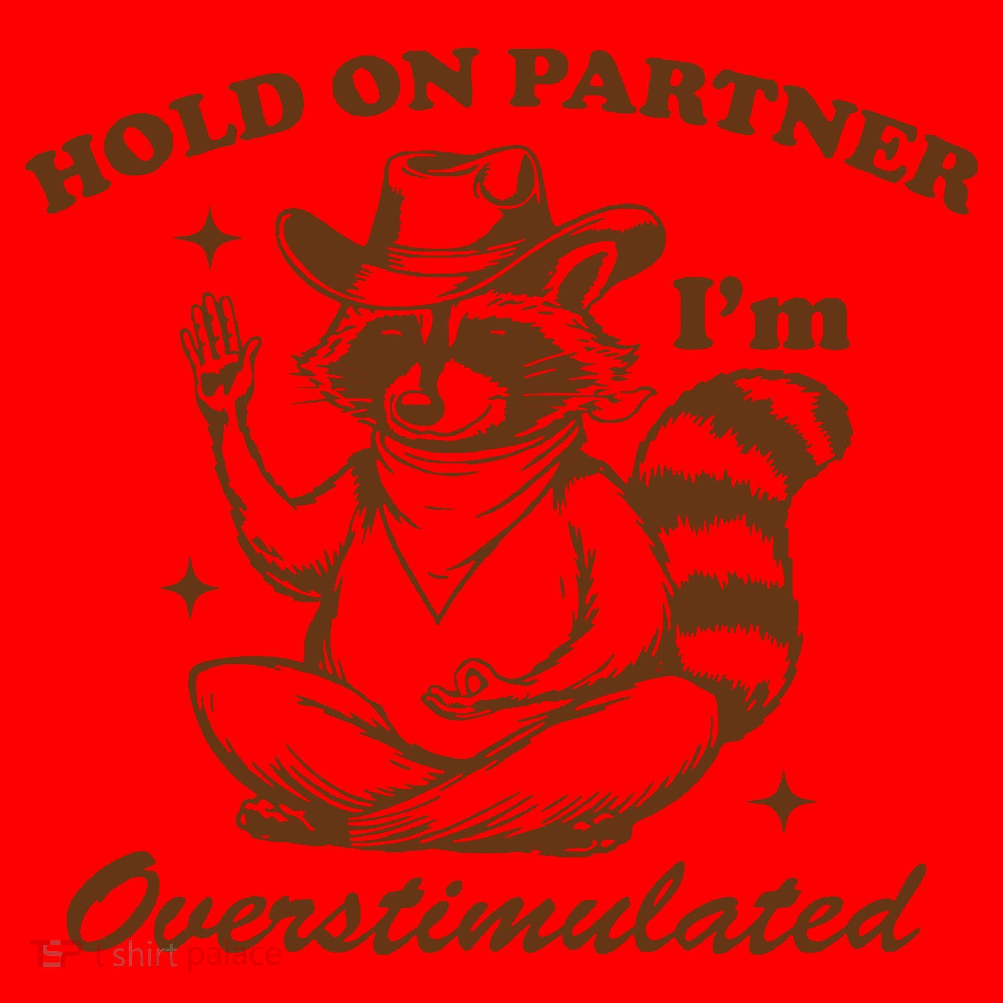 Hold On Partner IM Overstimulated Santa Hat