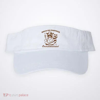 Visor