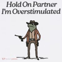 Hold On Partner IM Overstimulated Cowboy Frog Vintage T-Shirt thumb 7