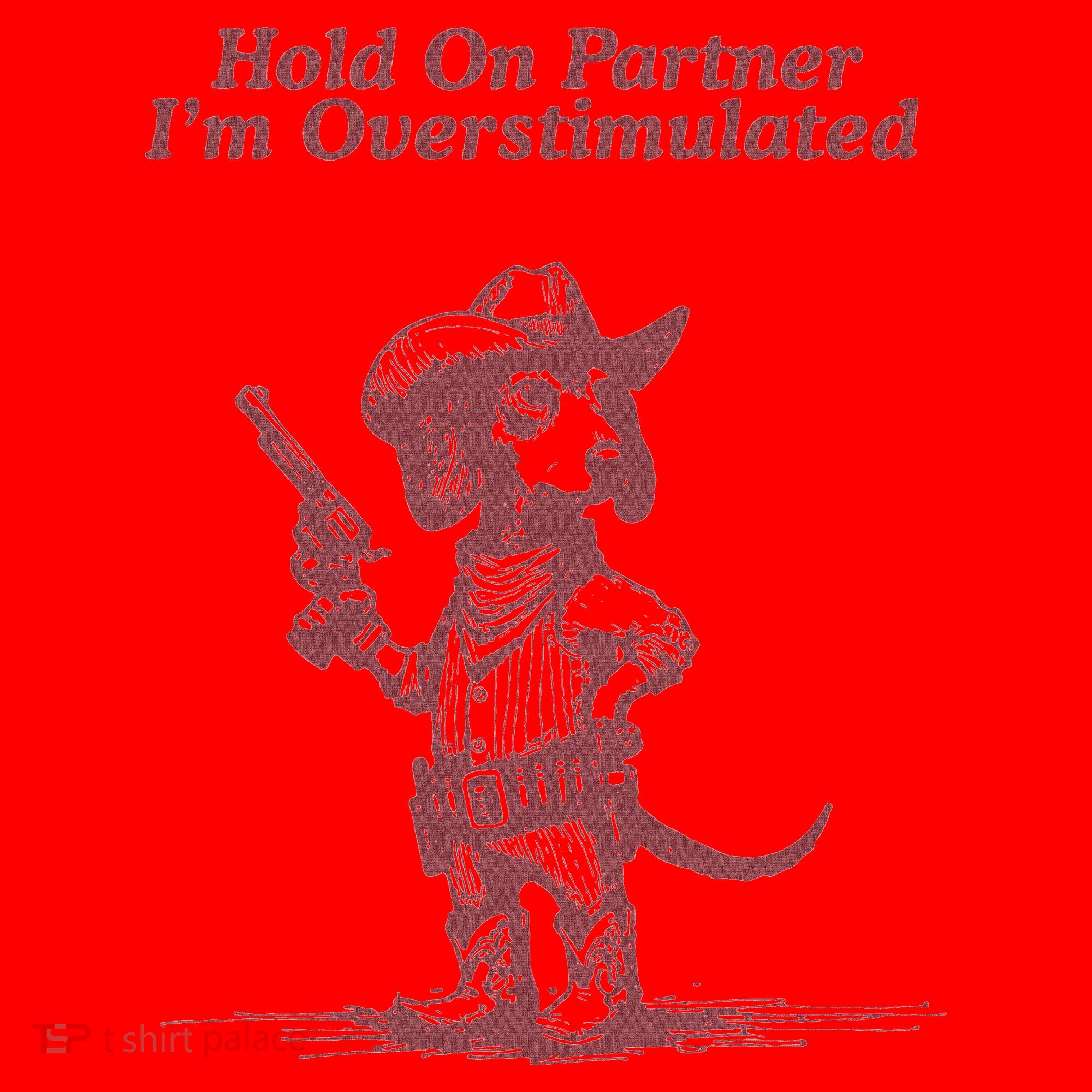 Hold On Partner IM Overstimulated Cowboy Dachshund Dogs Santa Hat