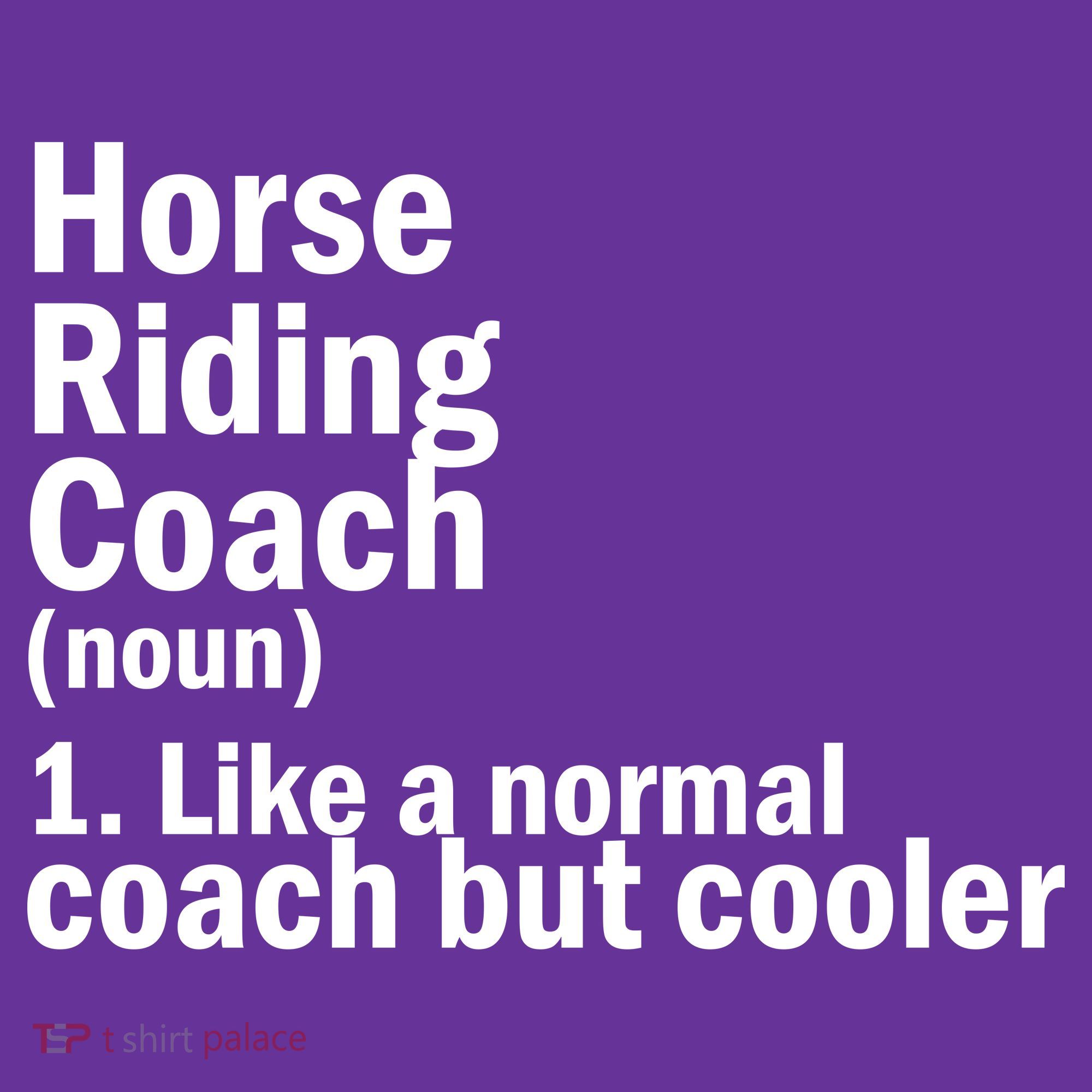 Horse Riding Coach Hoodie