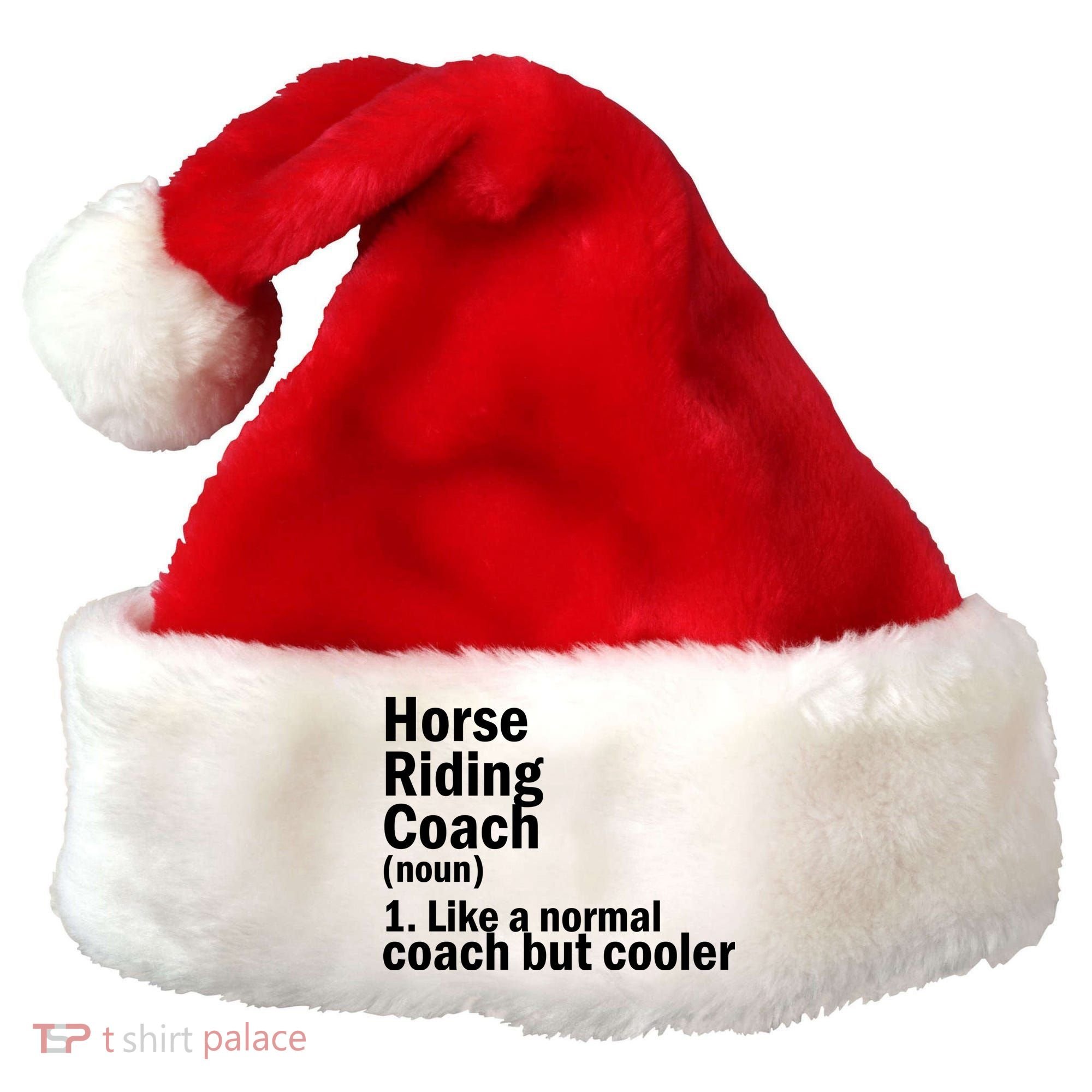 Horse Riding Coach Santa Hat