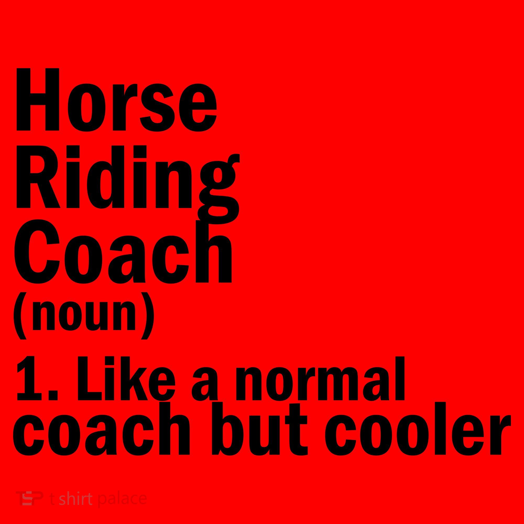 Horse Riding Coach Santa Hat