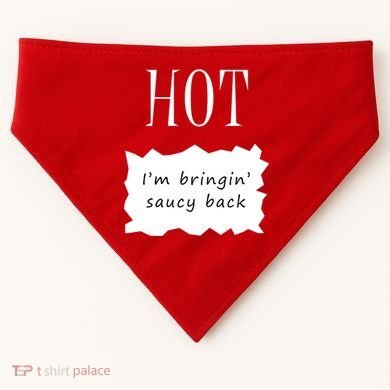 Hot I'm Bringing Saucy Back USA-Made Doggie Bandana