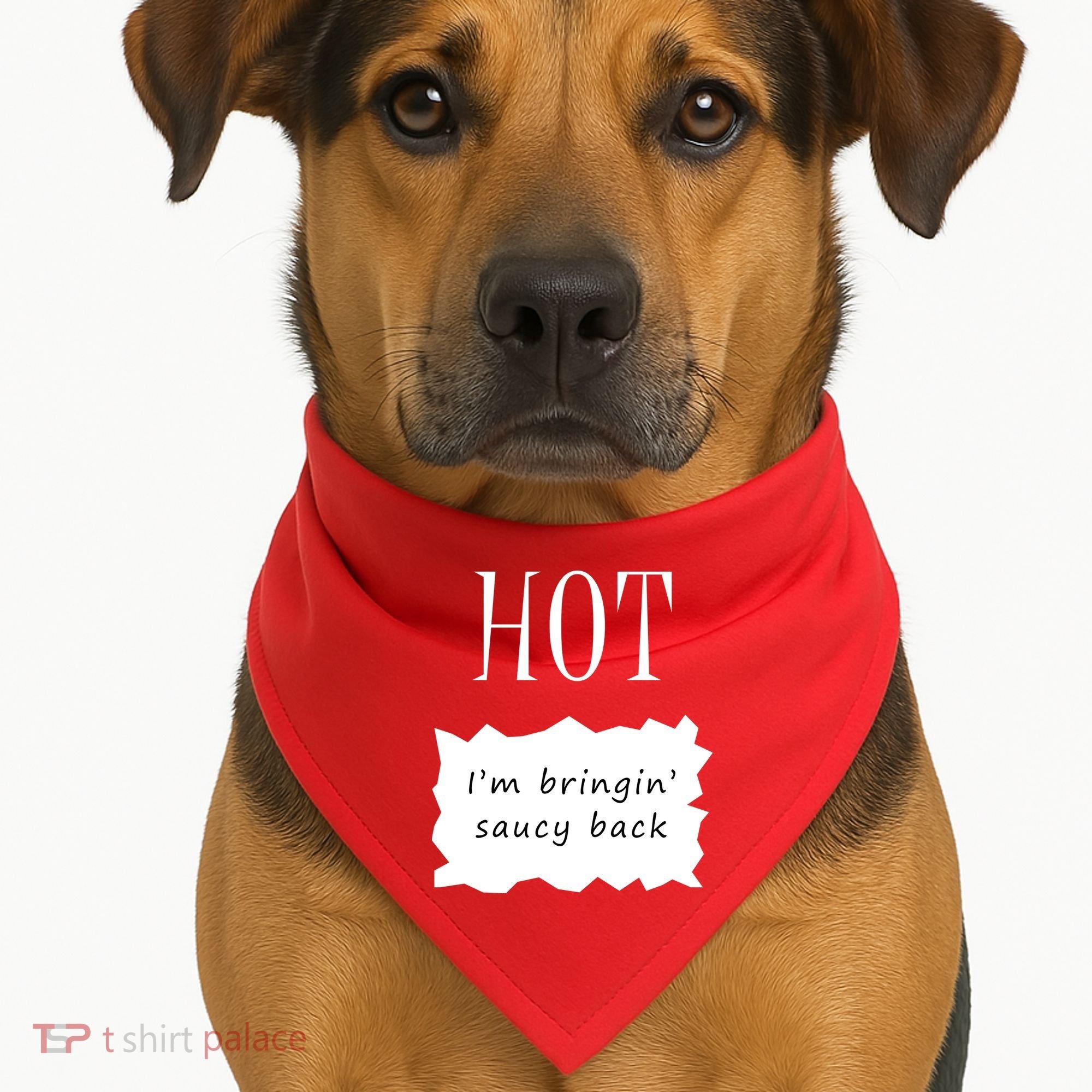 Hot I'm Bringing Saucy Back USA-Made Doggie Bandana