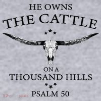 He Owns The Cattle On A Thousand Hills Bull Skull Christian Women's Sweatshirt thumb 2