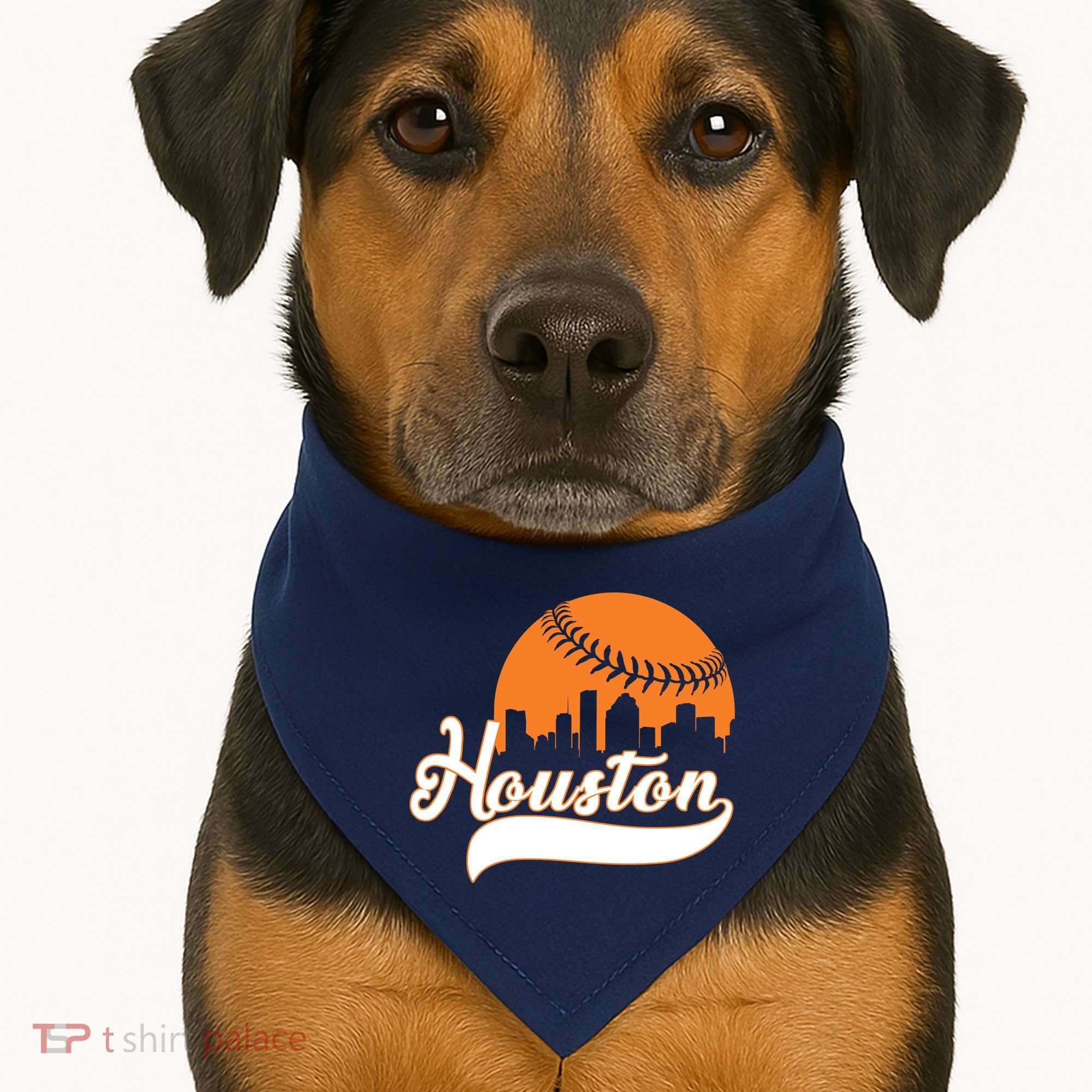 Houston Baseball Team City USA-Made Doggie Bandana