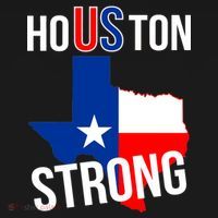 Houston US Strong Texas State Flag Apron thumb 3