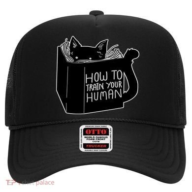 How To Train Your Human Hat