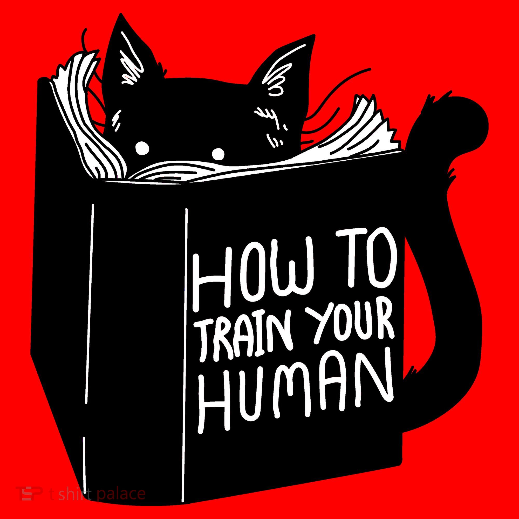 How To Train Your Human Santa Hat