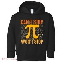 Happy Pi 314 Day Cant Stop Wont Stop Toddler Hoodie thumb 0