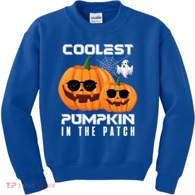 Halloween Pumpkin Coolest Pumpkin In The Patch Vintage Gift Kids Sweatshirt