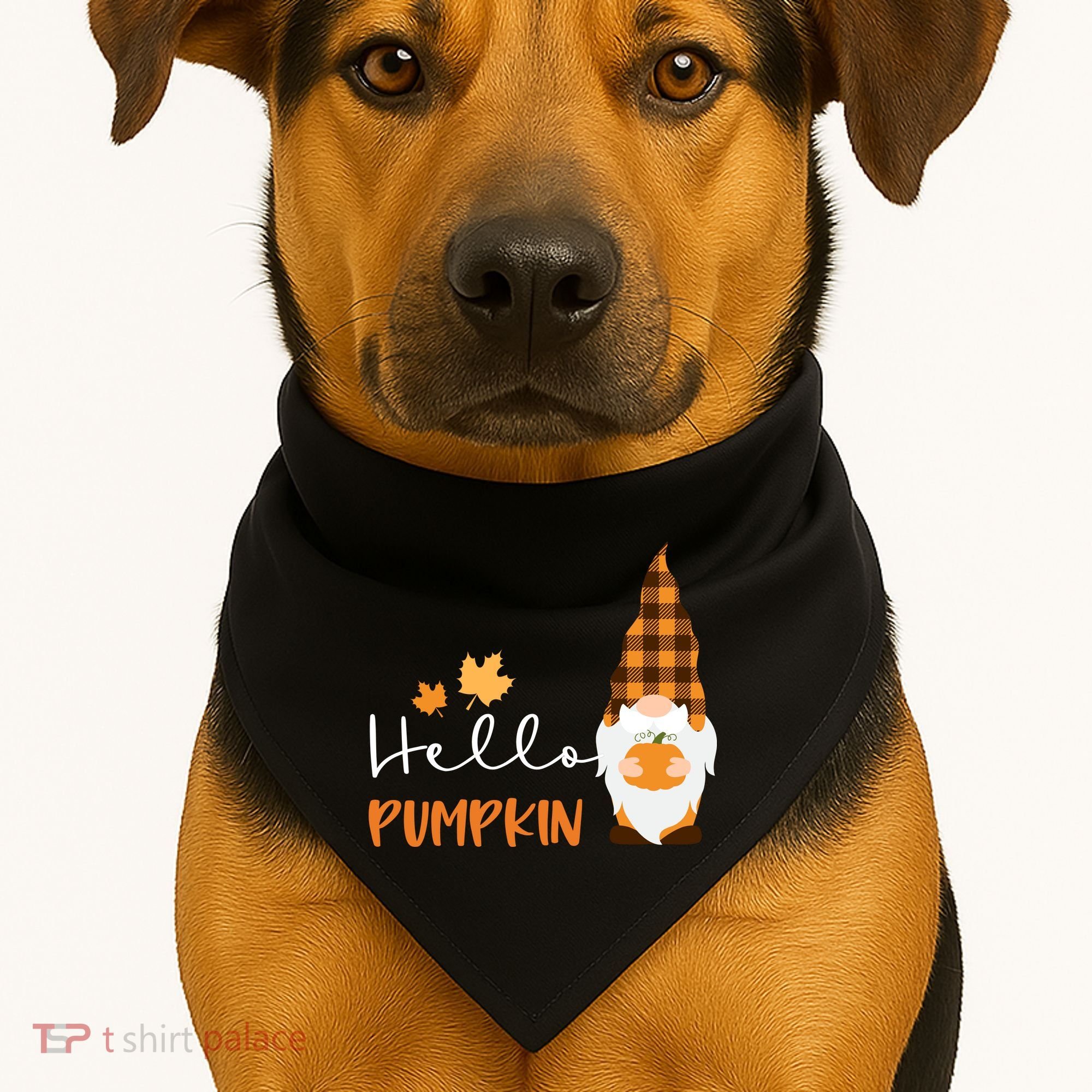 Hello Pumpkin Cute Gnome Fall Autumn USA-Made Doggie Bandana