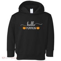 Hello Pumpkin Cute Fall Toddler Hoodie thumb 0