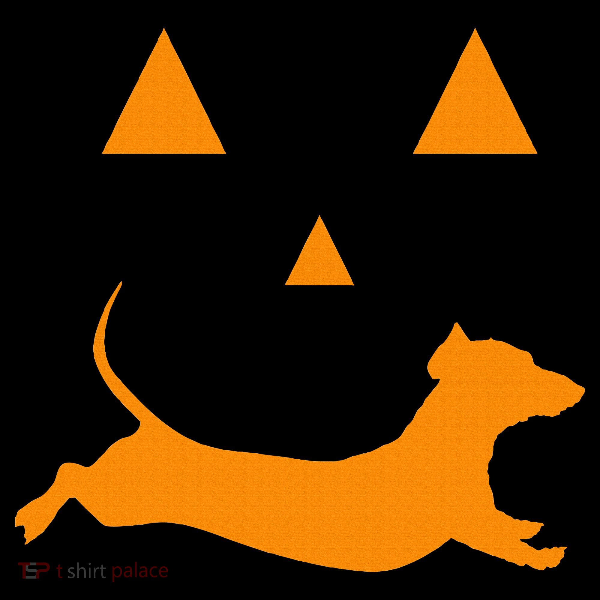 Halloween Pumpkin Dachshund Jackolantern Costume Women's Hoodie