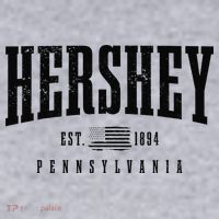 Hershey Pennsylvania Est. 1894 American Flag Patriotic Women's Sweatshirt thumb 2