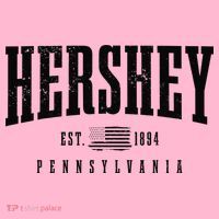 Hershey Pennsylvania Est. 1894 American Flag Patriotic Coaster thumb 2