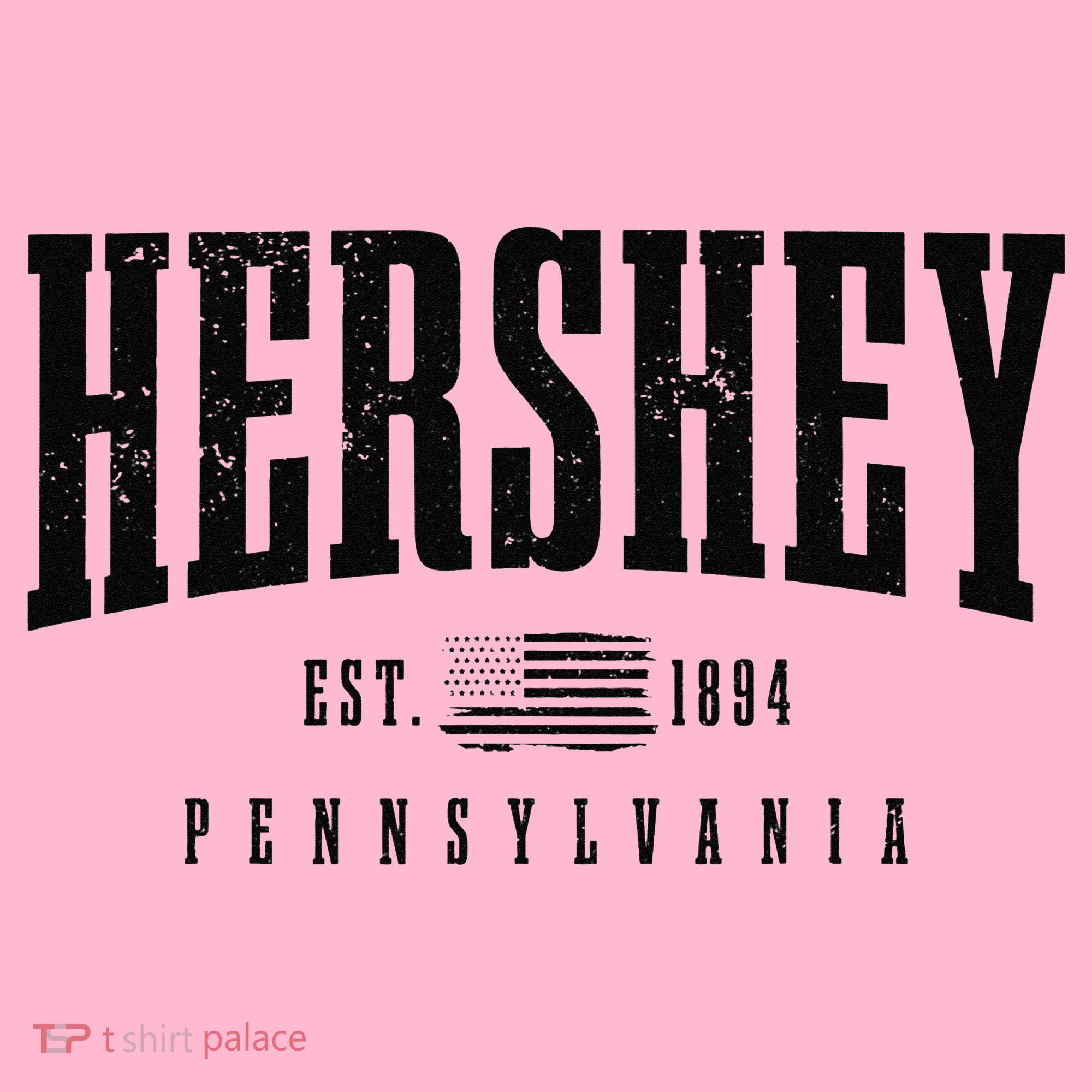 Hershey Pennsylvania Est. 1894 American Flag Patriotic Coaster