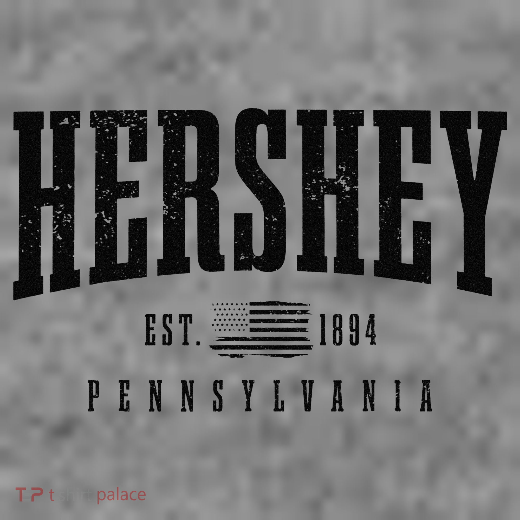 Hershey Pennsylvania Est. 1894 American Flag Patriotic Toddler Hoodie