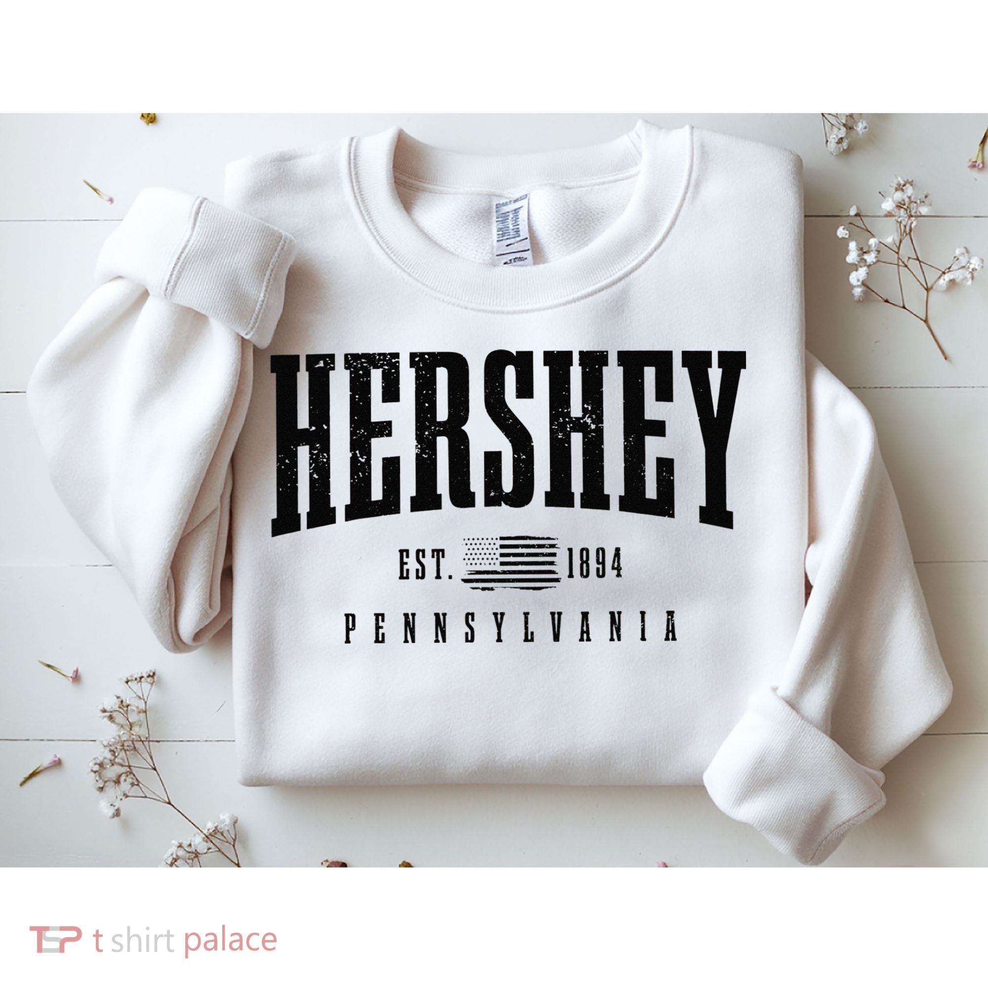 Hershey Pennsylvania Est. 1894 American Flag Patriotic Sweatshirt