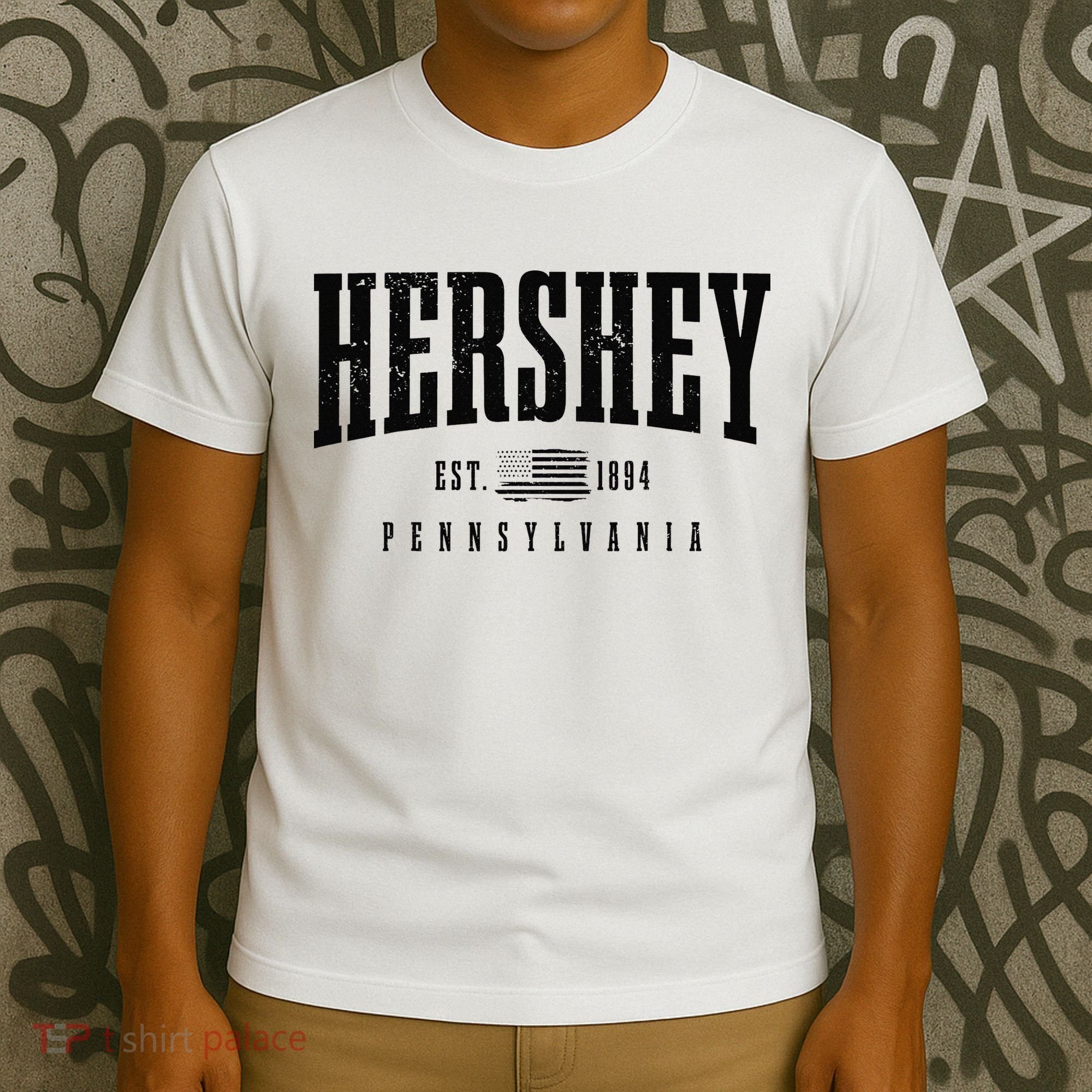 Hershey Pennsylvania Est. 1894 American Flag Patriotic T-Shirt