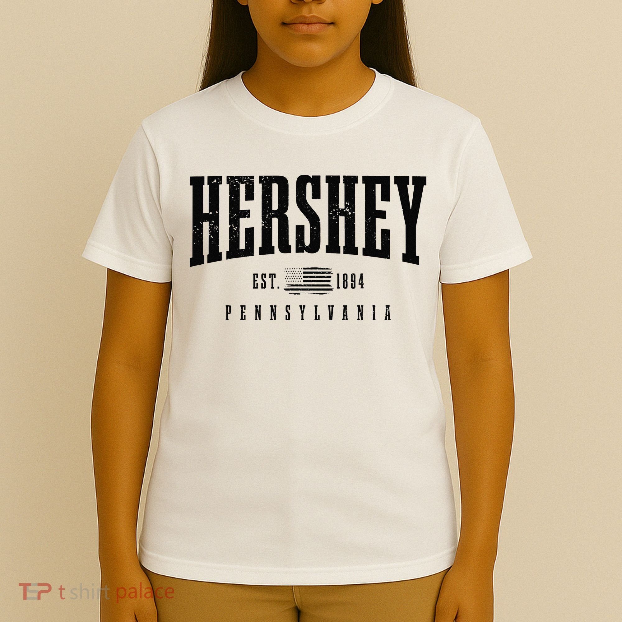 Hershey Pennsylvania Est. 1894 American Flag Patriotic T-Shirt