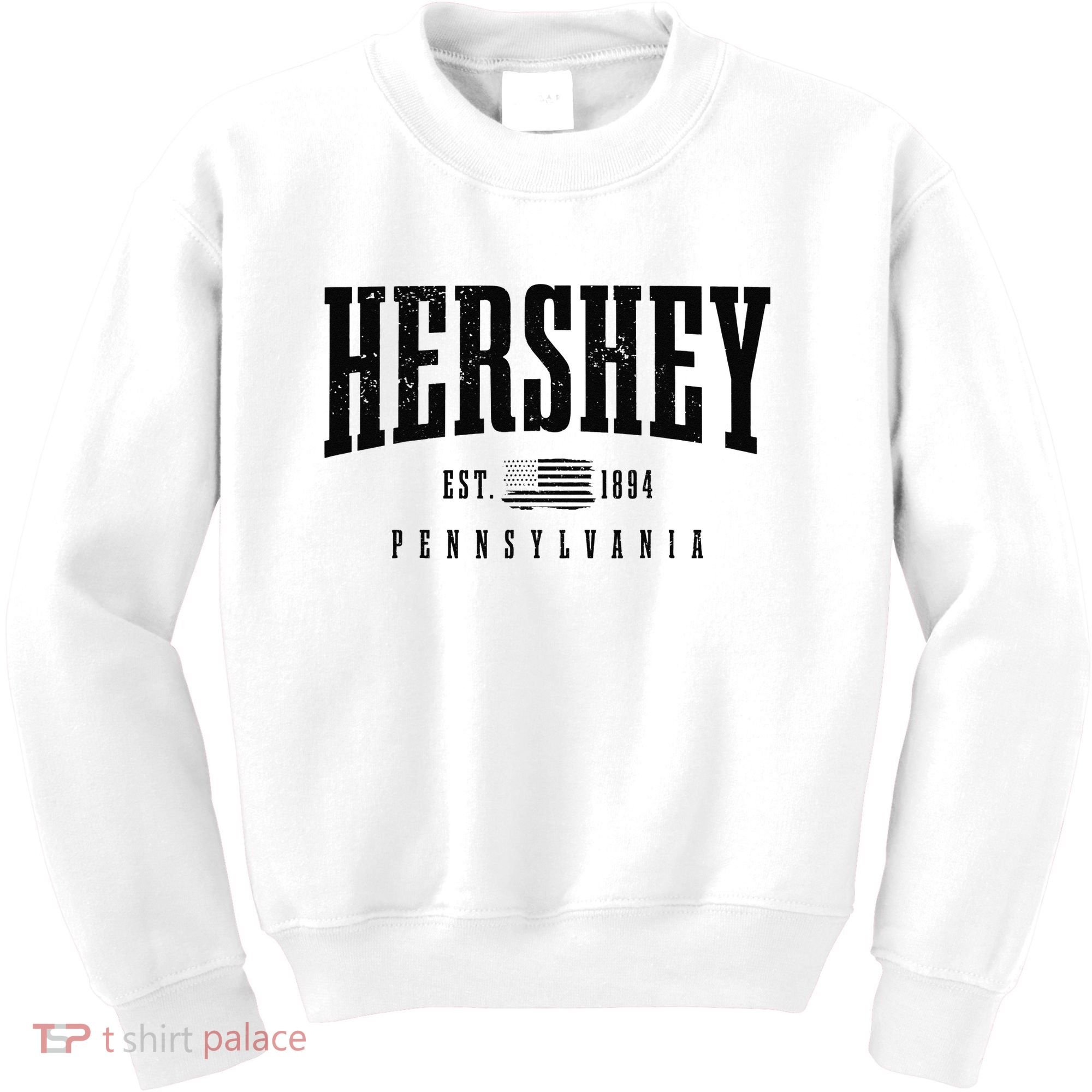 Hershey Pennsylvania Est. 1894 American Flag Patriotic Kids Sweatshirt
