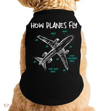 How Planes Fly Aerospace Engineer Aeronautical Engineering Doggie Tank