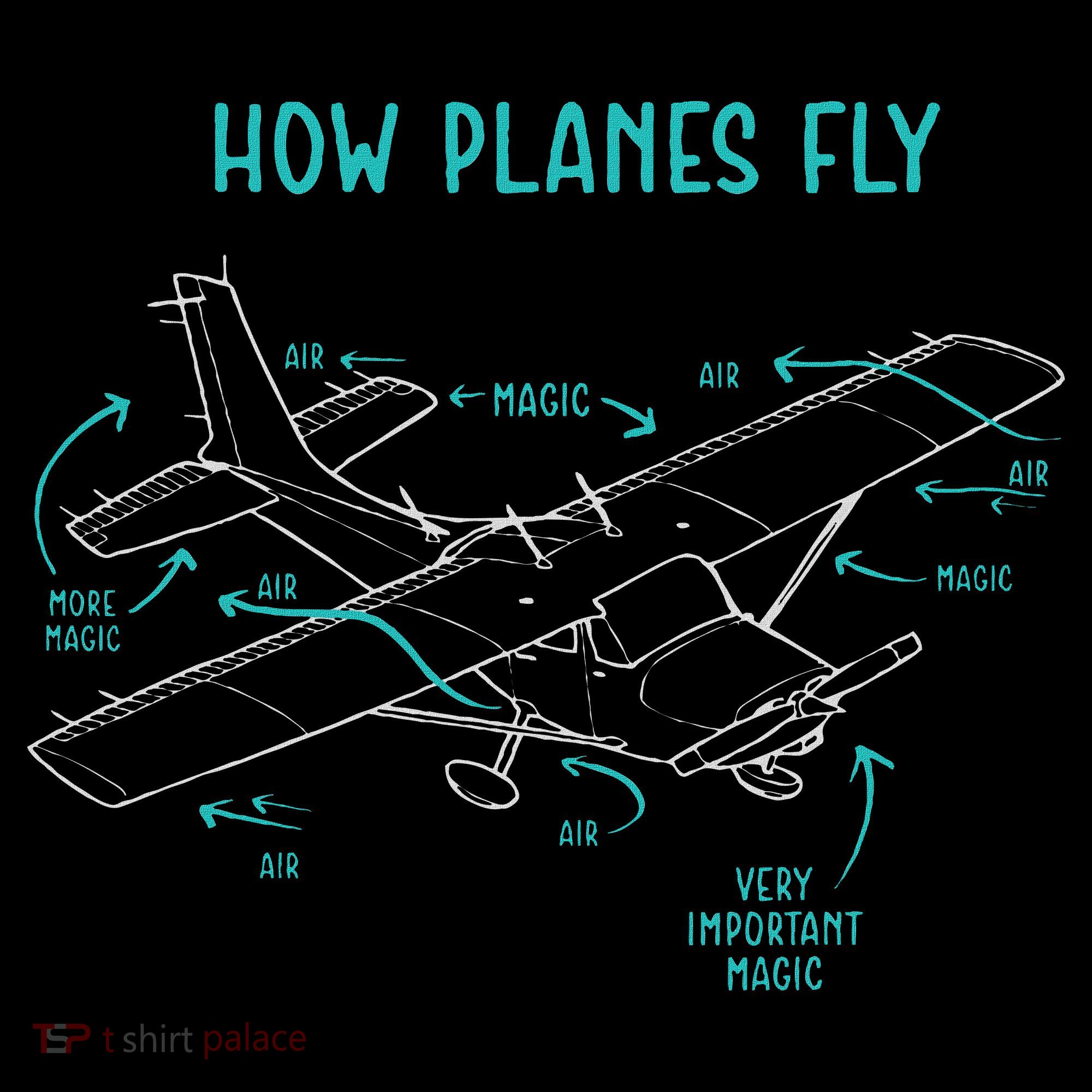 How Planes Fly Airline Pilot Aviation Aircraft Lover Women's Hoodie