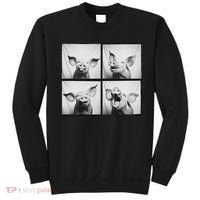 Happy Pig Face Portrait Hog Farmer Funny Farm Animal Sweatshirt thumb 0