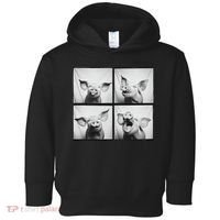 Happy Pig Face Portrait Hog Farmer Funny Farm Animal Toddler Hoodie thumb 0