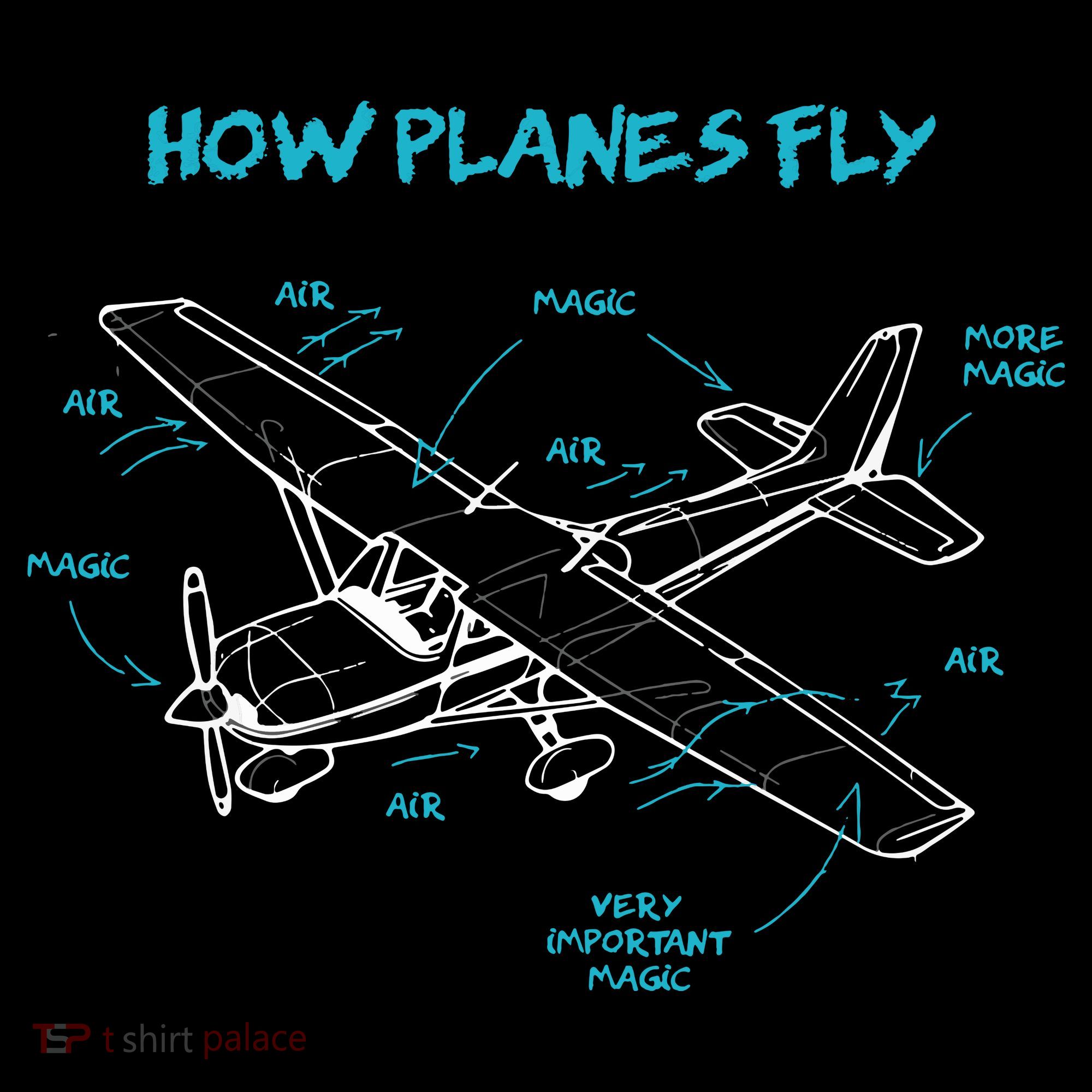 How Planes Fly Funny Aviation Gift RC Plane Pilot Women's Hoodie