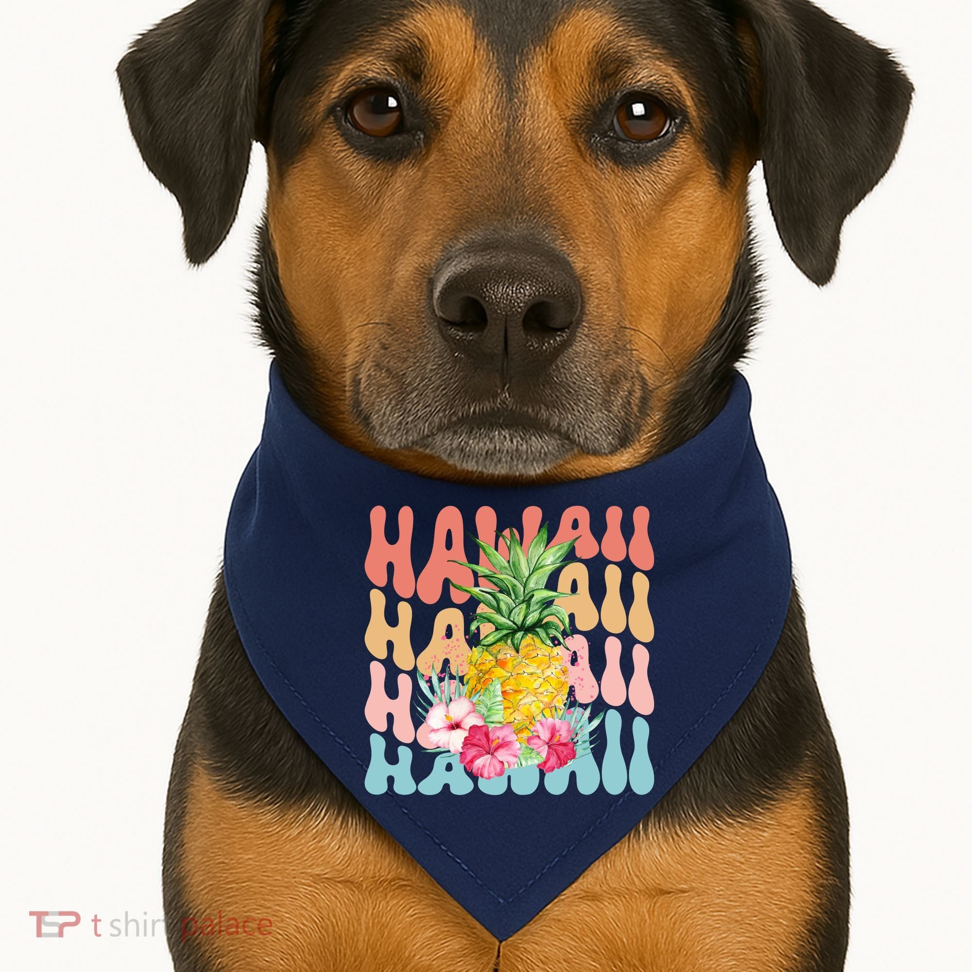 Hawaii Pineapple Summer Groovy Retro USA-Made Doggie Bandana