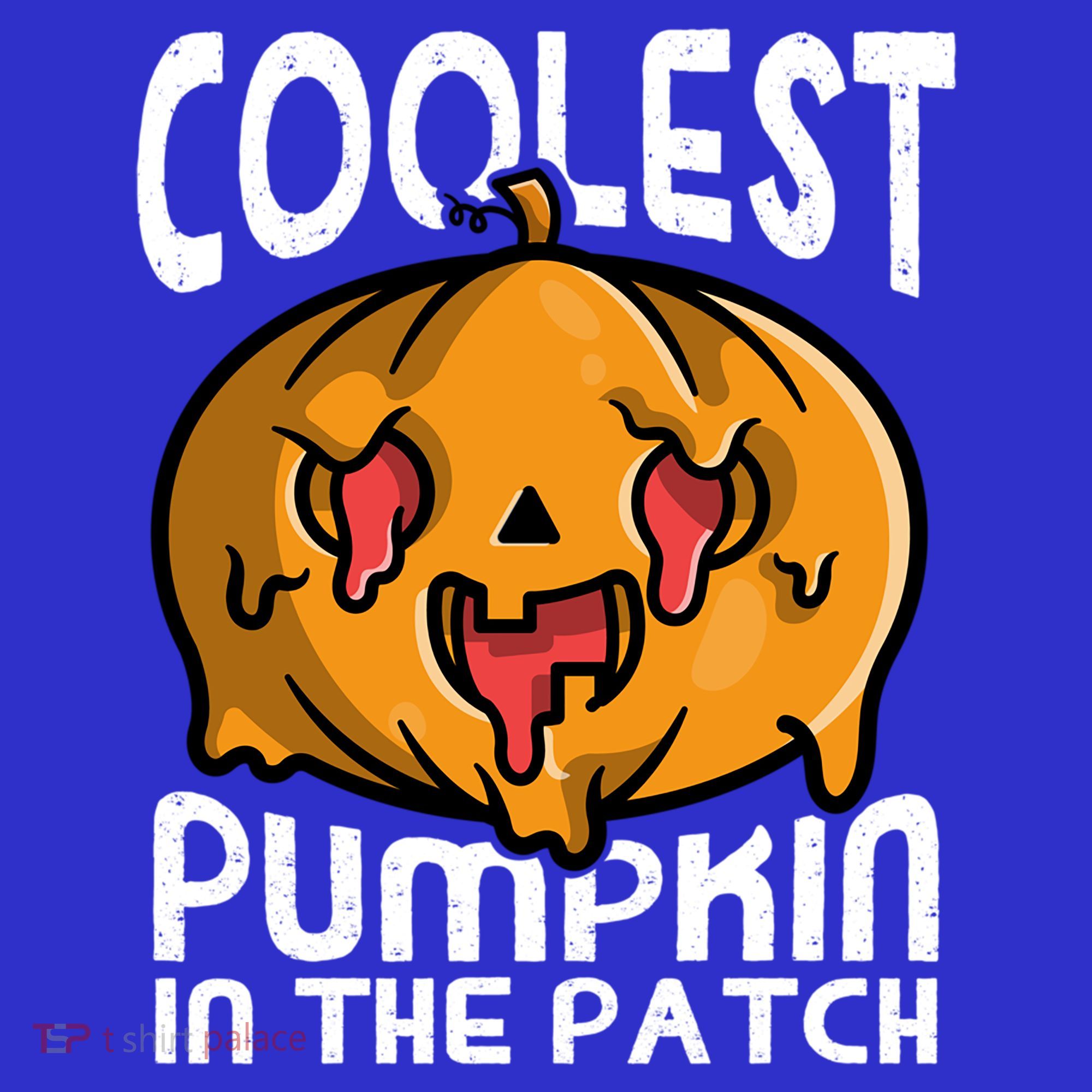 Halloween Pumpkin Sunglasses Coolest Pumpkin In The Patch Cool Gift Hoodie