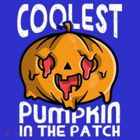 Halloween Pumpkin Sunglasses Coolest Pumpkin In The Patch Cool Gift Long Sleeve Shirt thumb 2