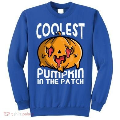 Halloween Pumpkin Sunglasses Coolest Pumpkin In The Patch Cool Gift Sweatshirt