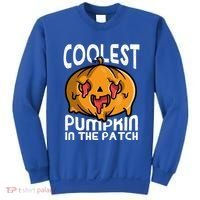 Halloween Pumpkin Sunglasses Coolest Pumpkin In The Patch Cool Gift Sweatshirt thumb 0