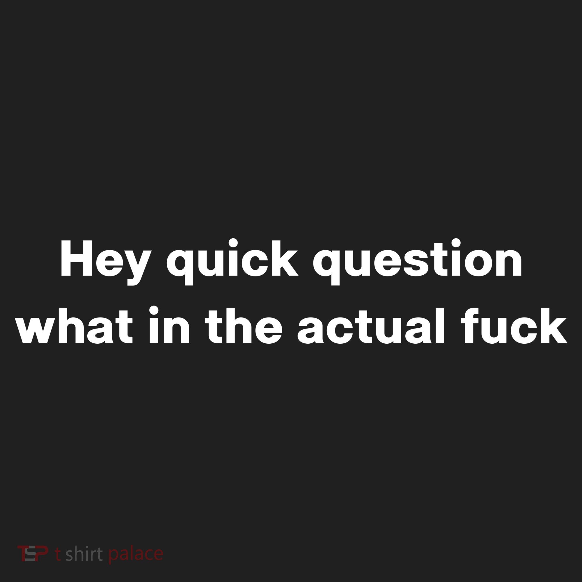 Hey Quick Question What In The Actual Fuck Beanie