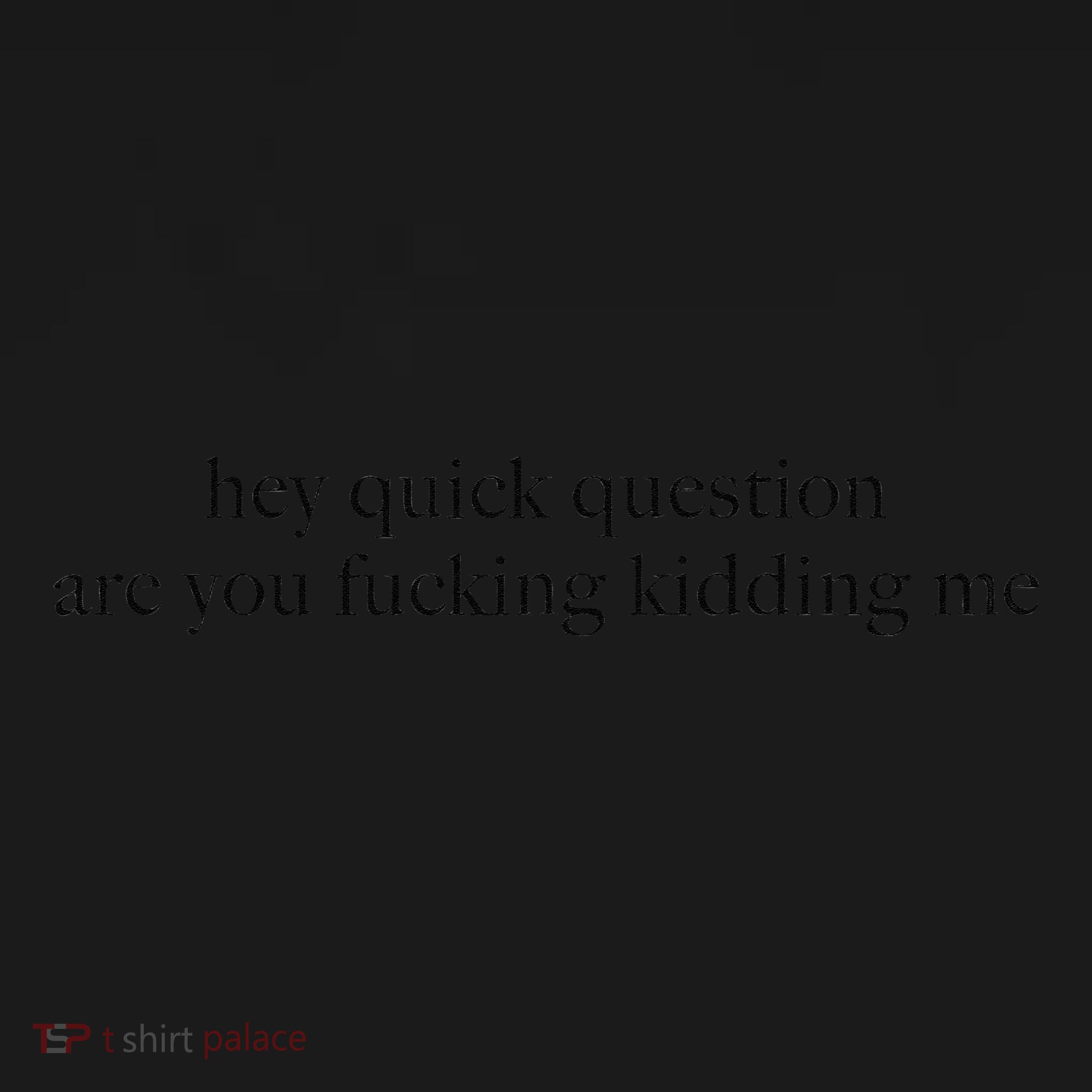 Hey Quick Question Are You Fcking Kidding Me Gift Toddler Hoodie