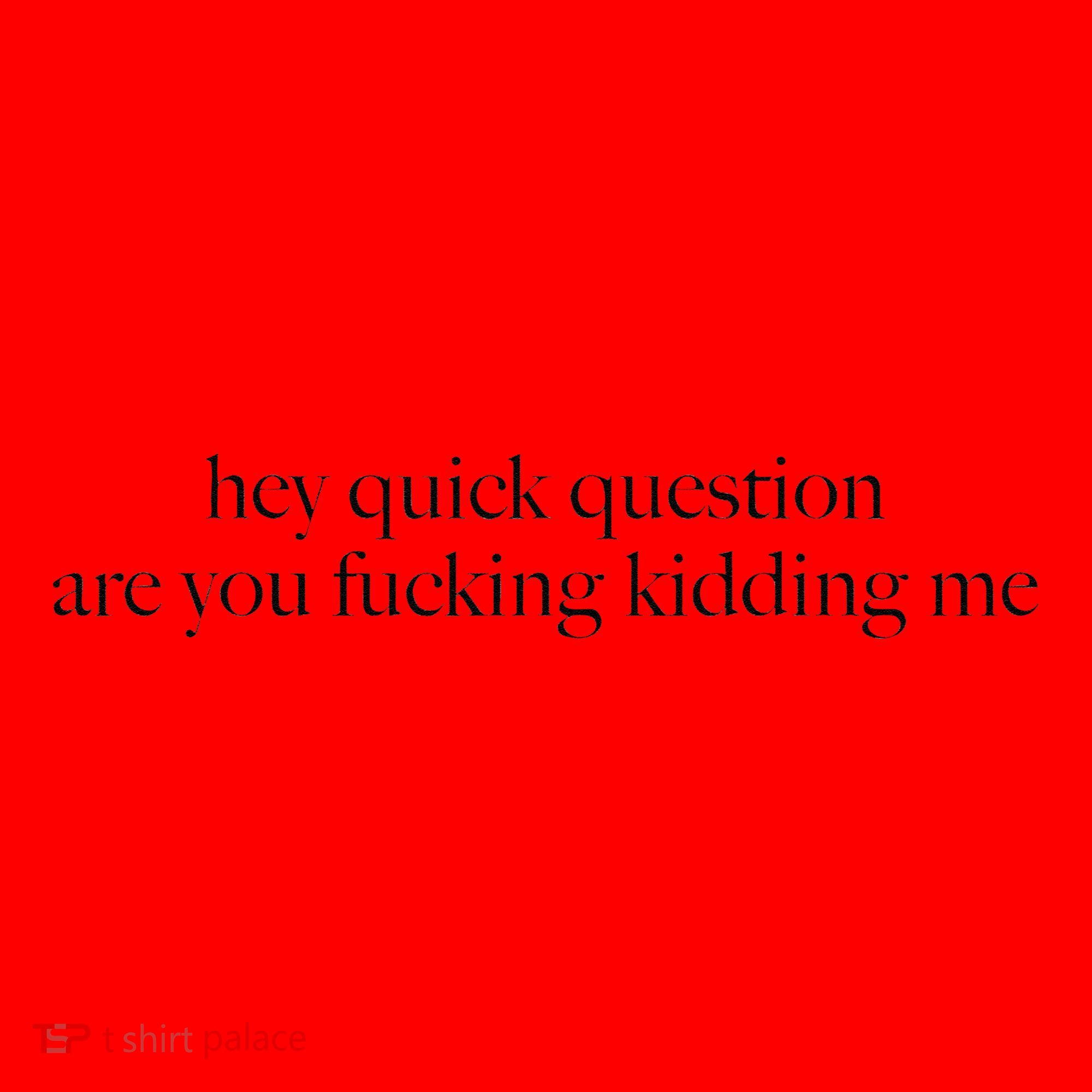 Hey Quick Question Are You Fucking Kidding Me Santa Hat