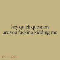 Hey Quick Question Are You Fucking Kidding Me T-Shirt thumb 7