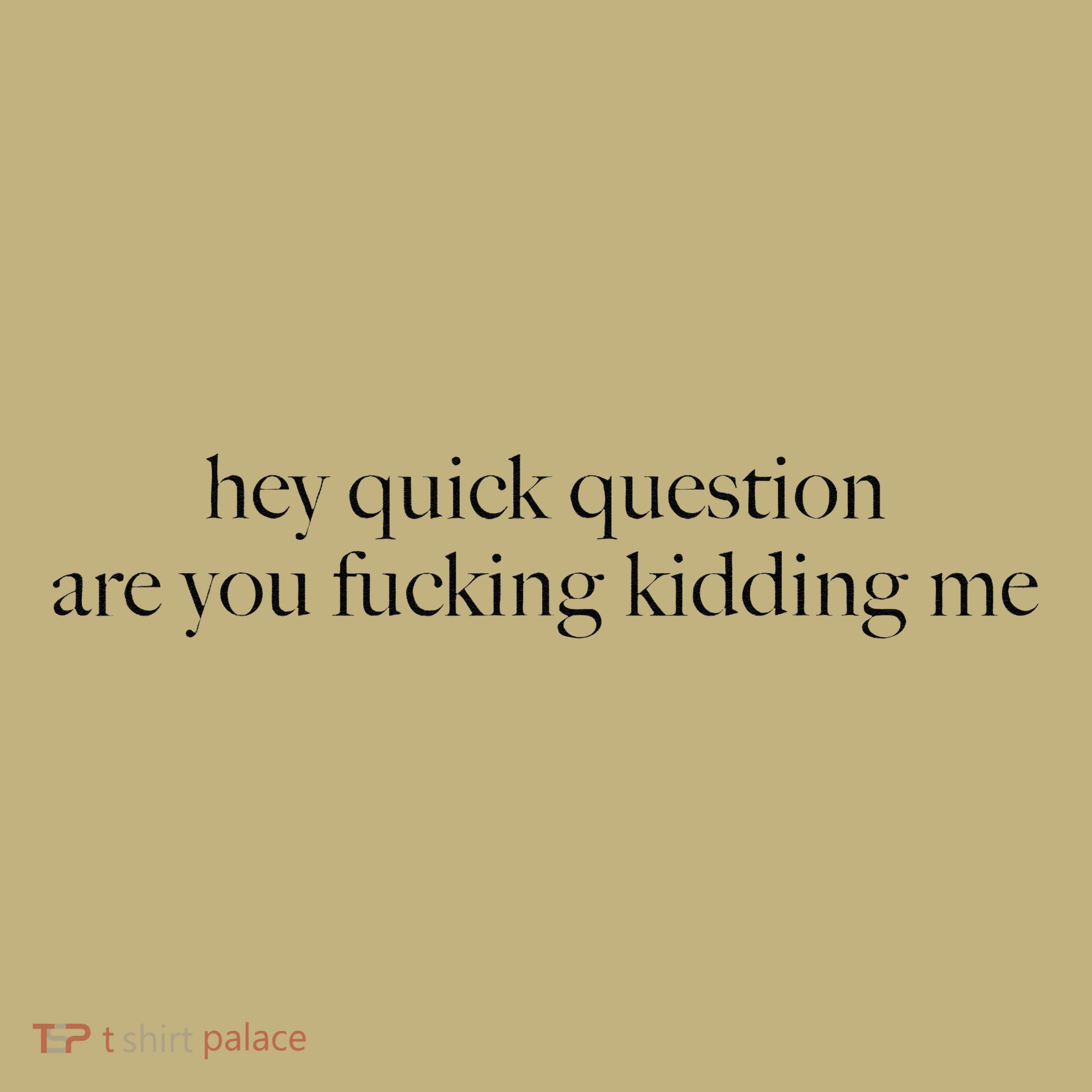 Hey Quick Question Are You Fucking Kidding Me T-Shirt